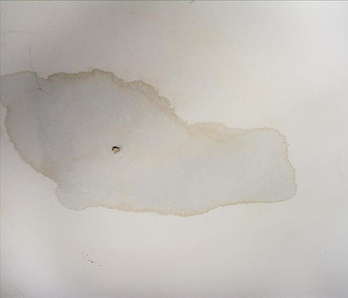  60/5000 Las manchas de agua interiores en el techo del molde deterioran las baldosas de daños.