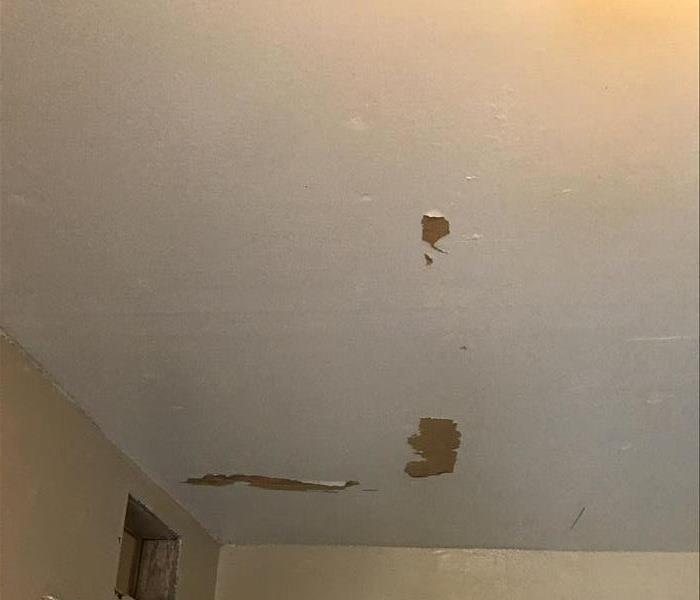 paint peeling from ceiling, damage