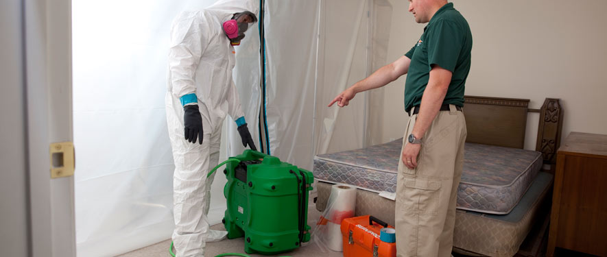 Santa Ana, CA mold removal process